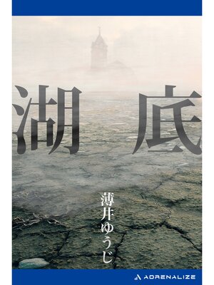 cover image of 湖底
